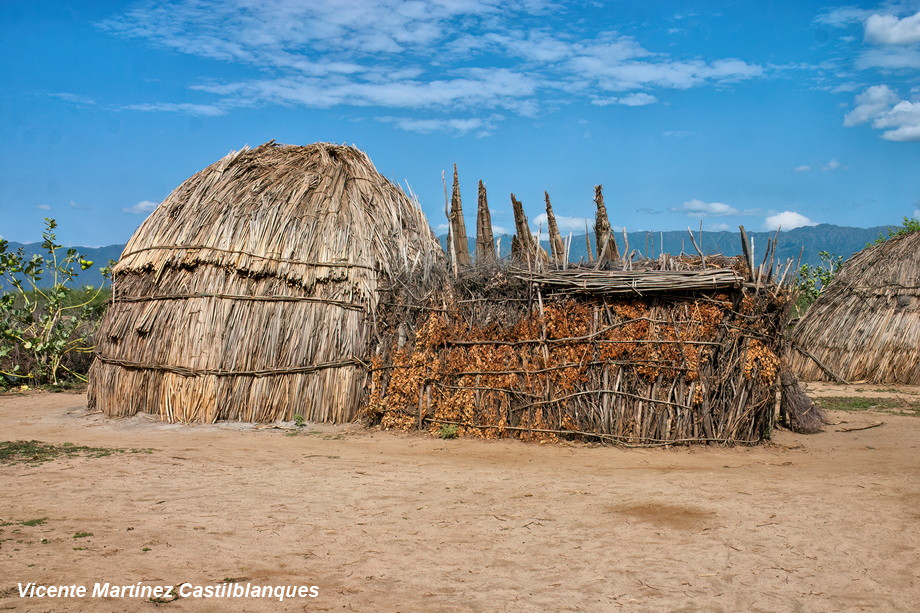 Arbore People