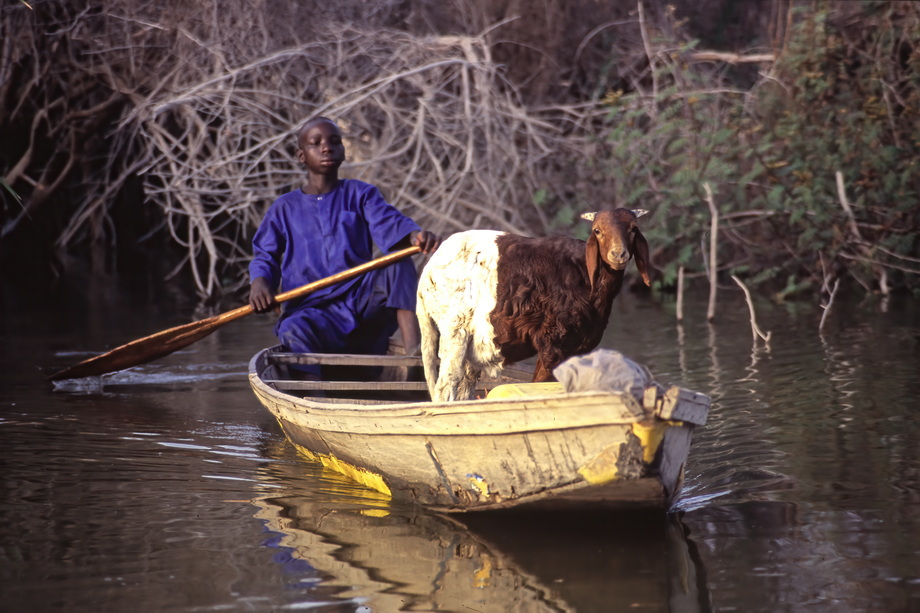 Buduma People