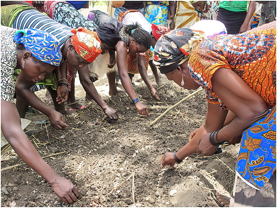 Dagaaba People