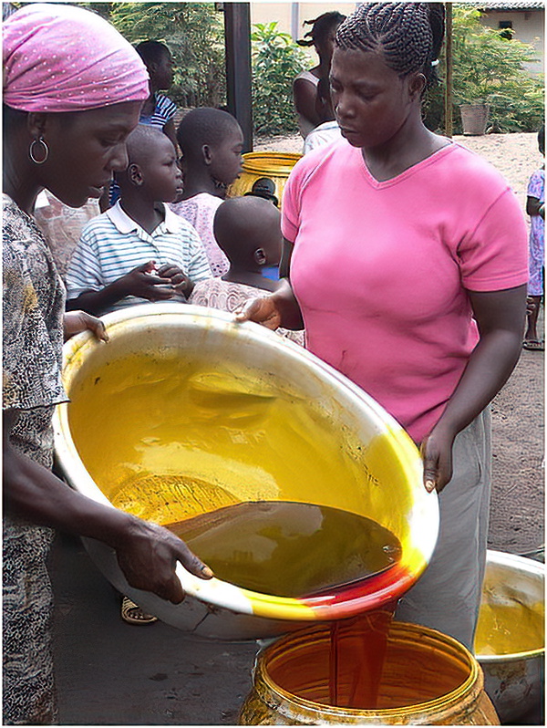 Denkyira People
