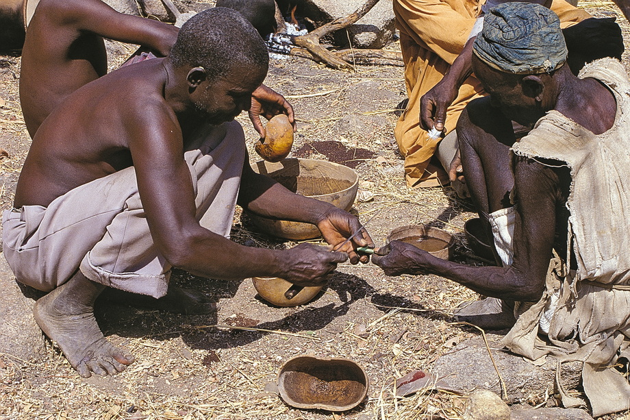 Fali People