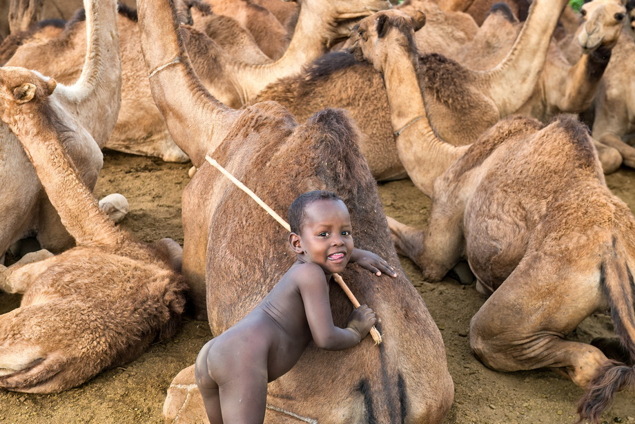 Karrayyu People