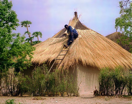 Lozi people