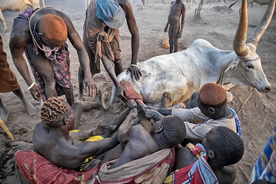 Mundari People