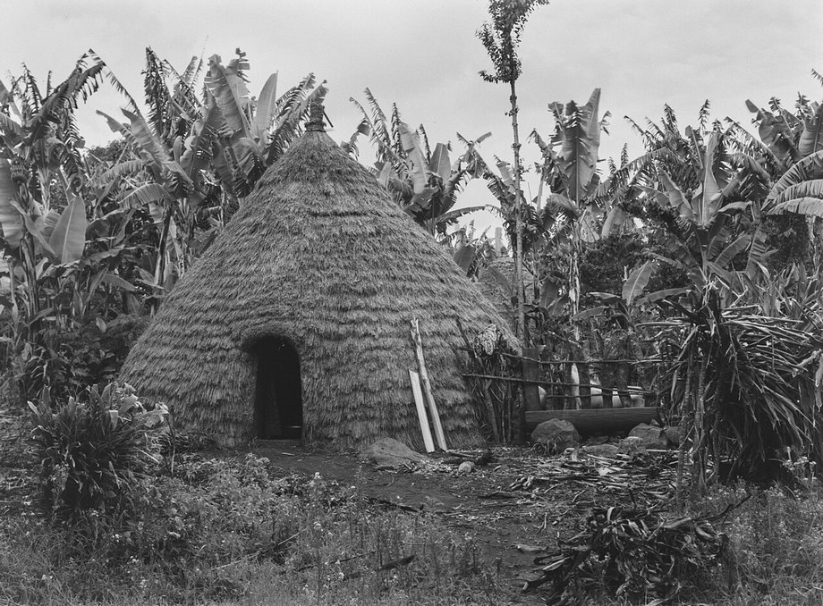 Pare People