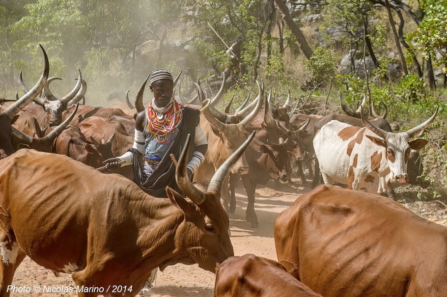 Sukuma People