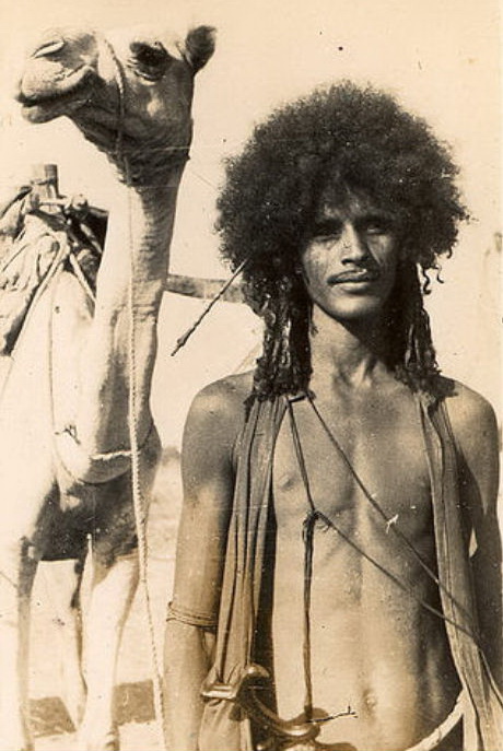 Tigre people