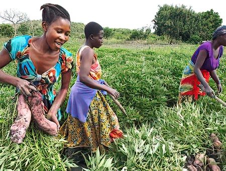 Banyambo People